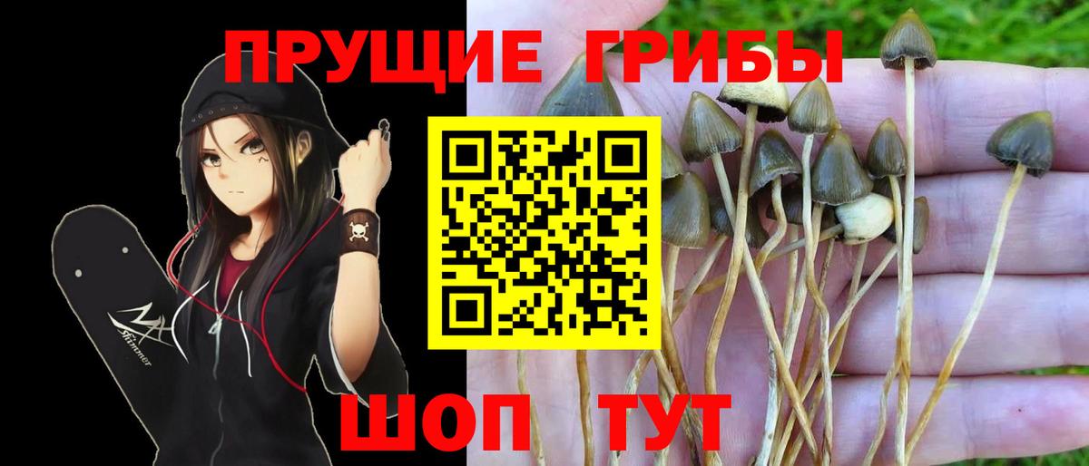 Медногорск  Галлюциногенные грибы ЛСД  Вход с VPN 